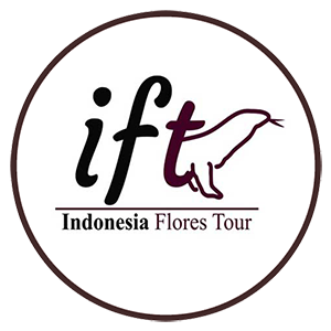 Komodo Trip From Bali | Flores Tours package | Flores Komodo Tour
