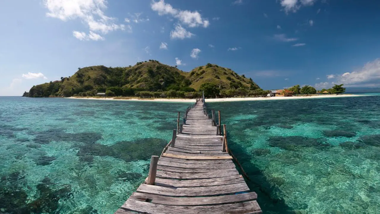 Komodo-Tour-From-Bali-or-Flores-4-Days-3-Nights-By-Indonesia-Flores-Tour-Img3