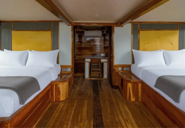Aurea-Cabin-Naturalia-Cruise