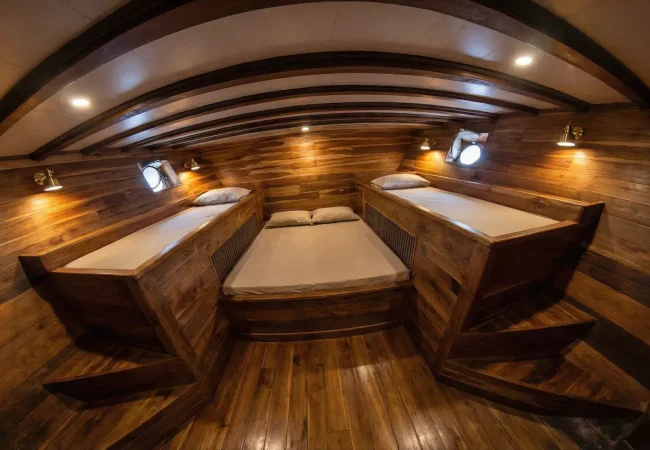 Tide-Cabin-Naturalia-Cruise