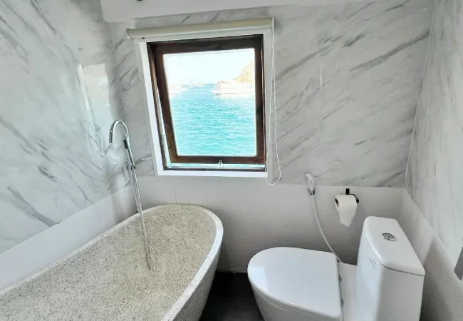 leticia-hanoman-bathroom